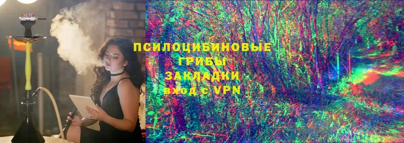 как найти закладки  блэк спрут как войти  Псилоцибиновые грибы мухоморы  Ленск 